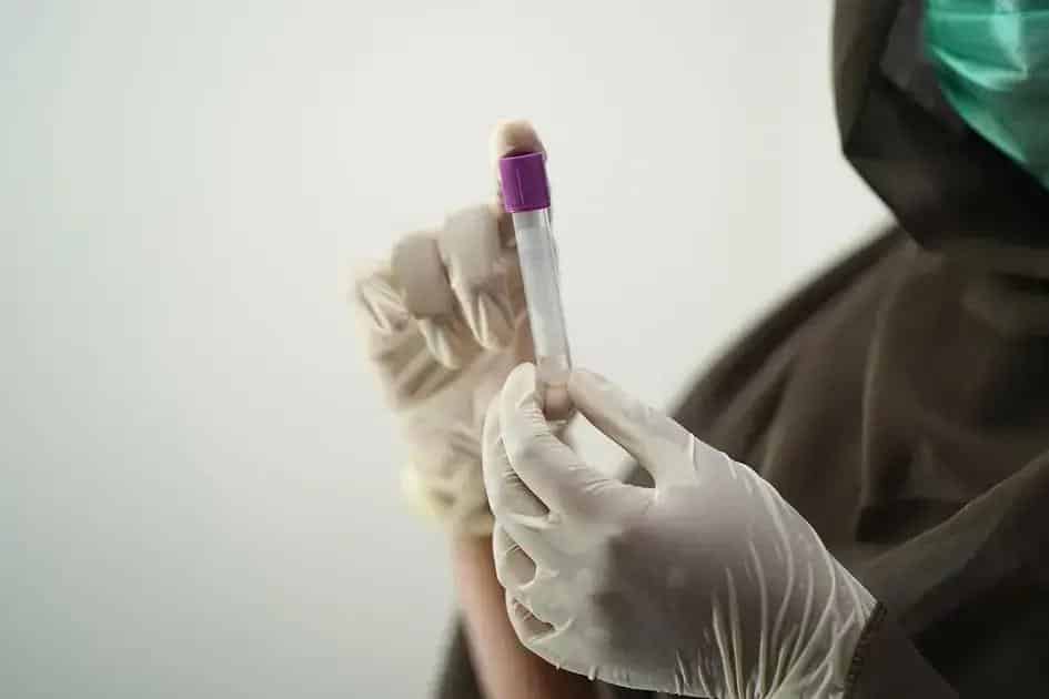 Tipos de Serviços Disponíveis em Piracicaba